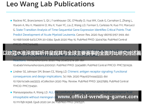 以欧冠水准深度解析并呈现其与全球主要赛事的全面对比研究综述篇